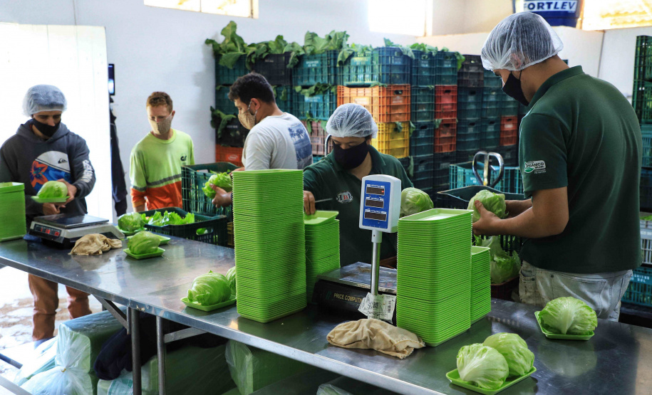 Em quatro anos, programas do Estado liberam mais de R$ 67 milhões para agricultores familiares