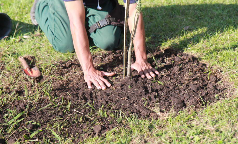Boas práticas ambientais dão ao Paraná reconhecimento nacional em sustentabilidade