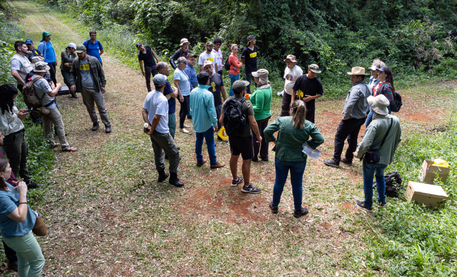 Com recuperação dos Caminhos do Peabiru, Estado vai aproveitar potencial da trilha histórica