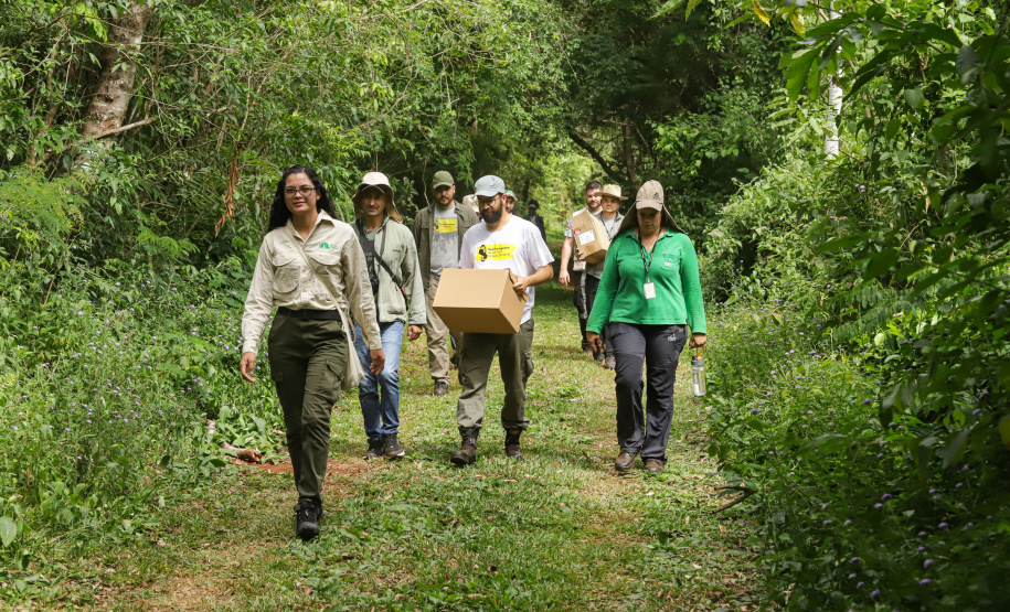Com recuperação dos Caminhos do Peabiru, Estado vai aproveitar potencial da trilha histórica