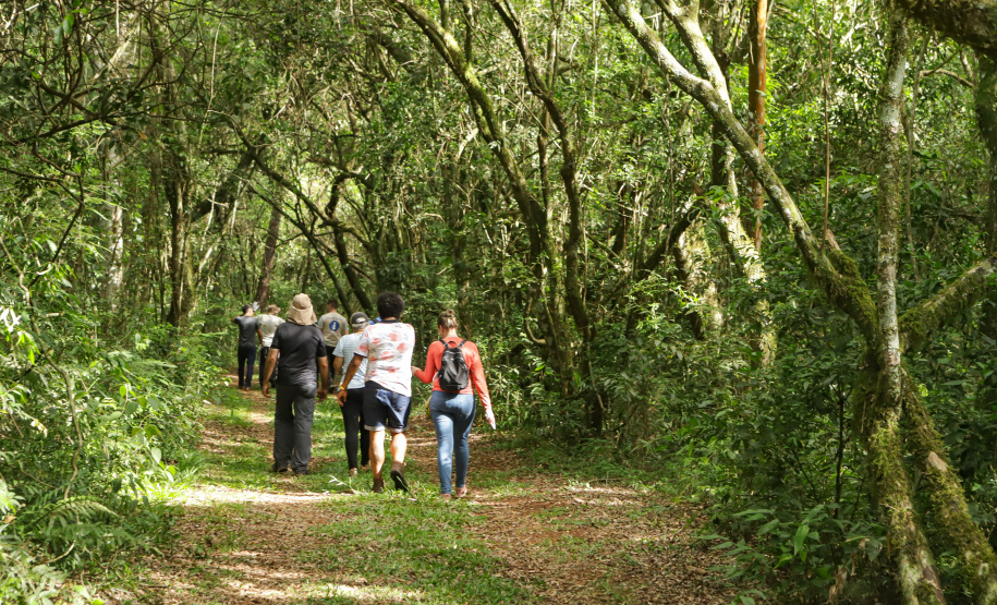 Com recuperação dos Caminhos do Peabiru, Estado vai aproveitar potencial da trilha histórica