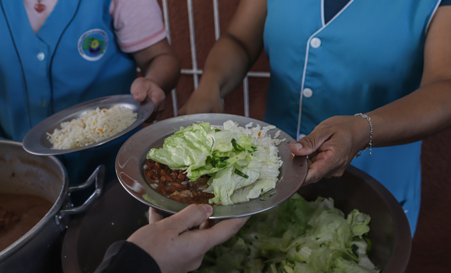 Líder nacional em produtores de orgânicos, Paraná investe para ampliar ainda mais o segmento