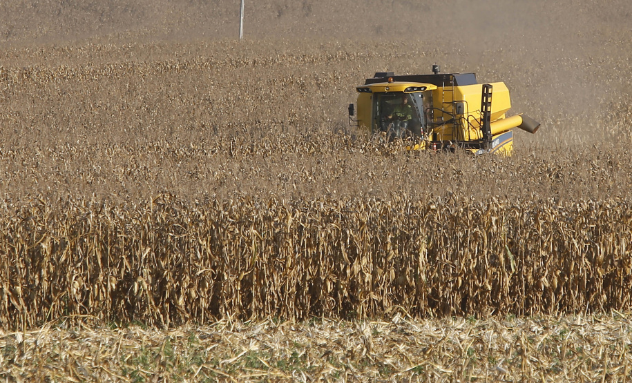 Agricultura divulga primeiras estimativas para a segunda safra 2022/2023 no Paraná