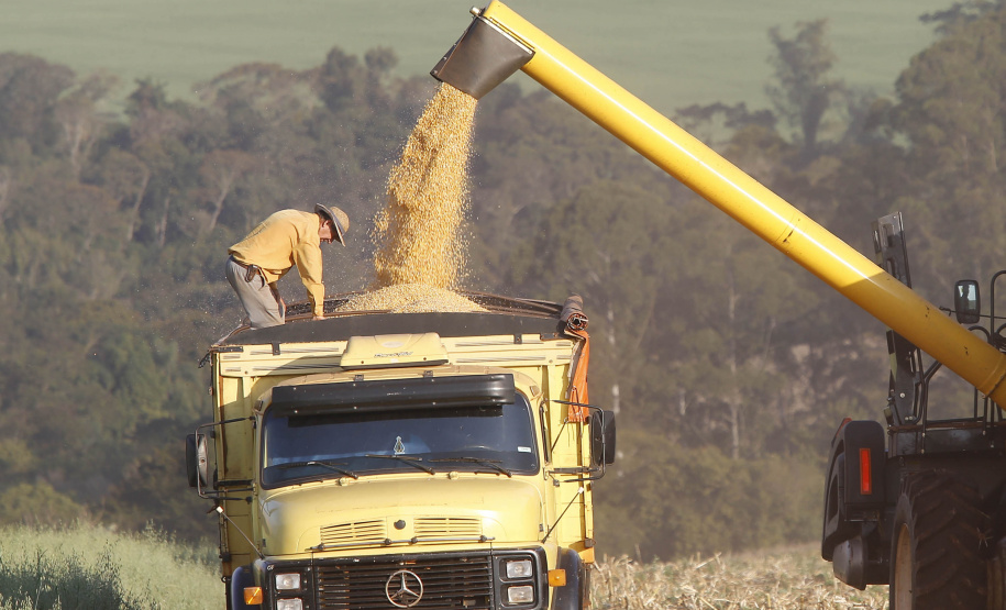 Agricultura divulga primeiras estimativas para a segunda safra 2022/2023 no Paraná