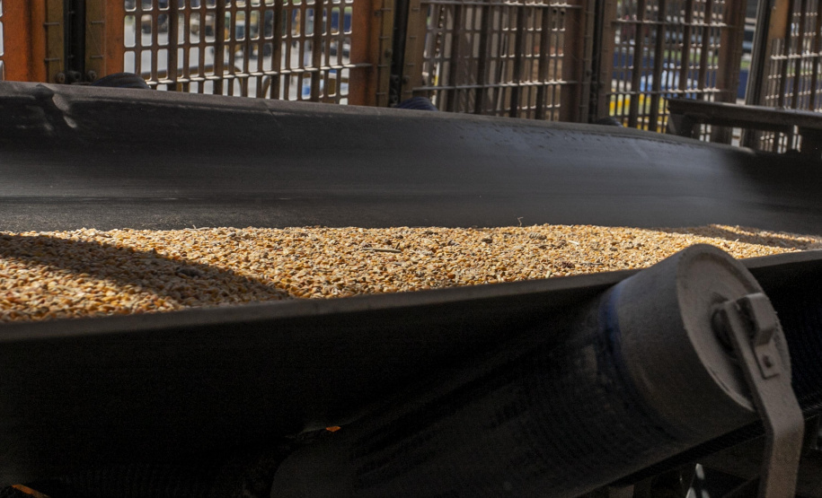 Porto de Paranaguá tem alta de 11,73% nas movimentações de grãos pelo Corredor Leste