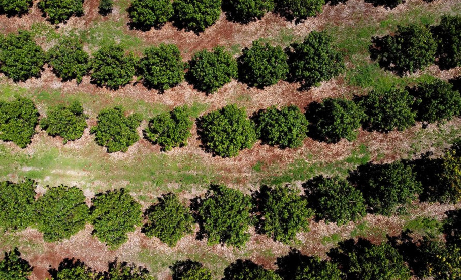 Em quatro anos, programas do Estado liberam mais de R$ 67 milhões para agricultores familiares