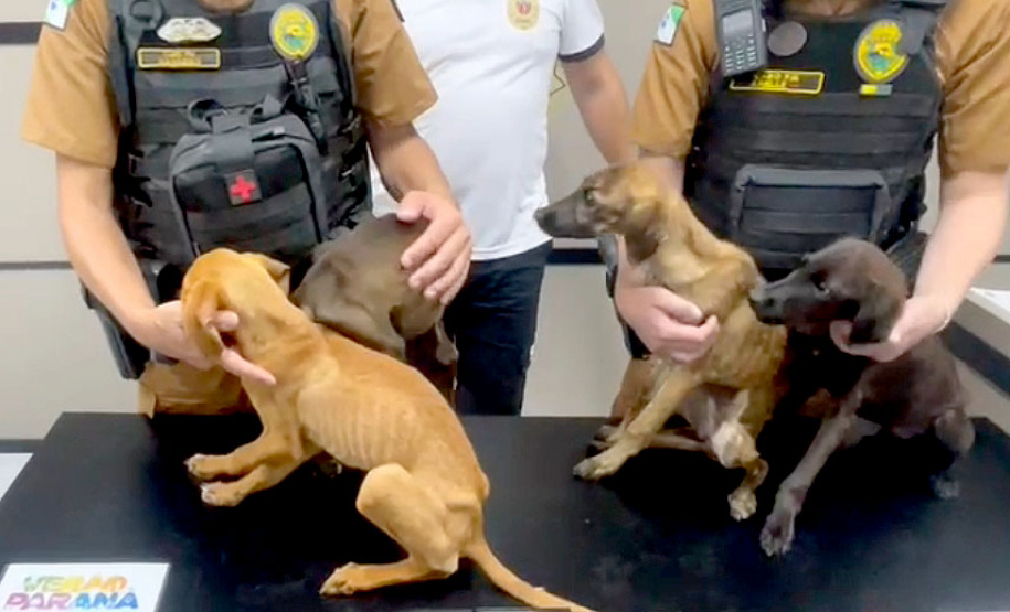 Policiais civis e militares prendem mulher e apreende adolescente por maus-tratos a animais em Matinhos