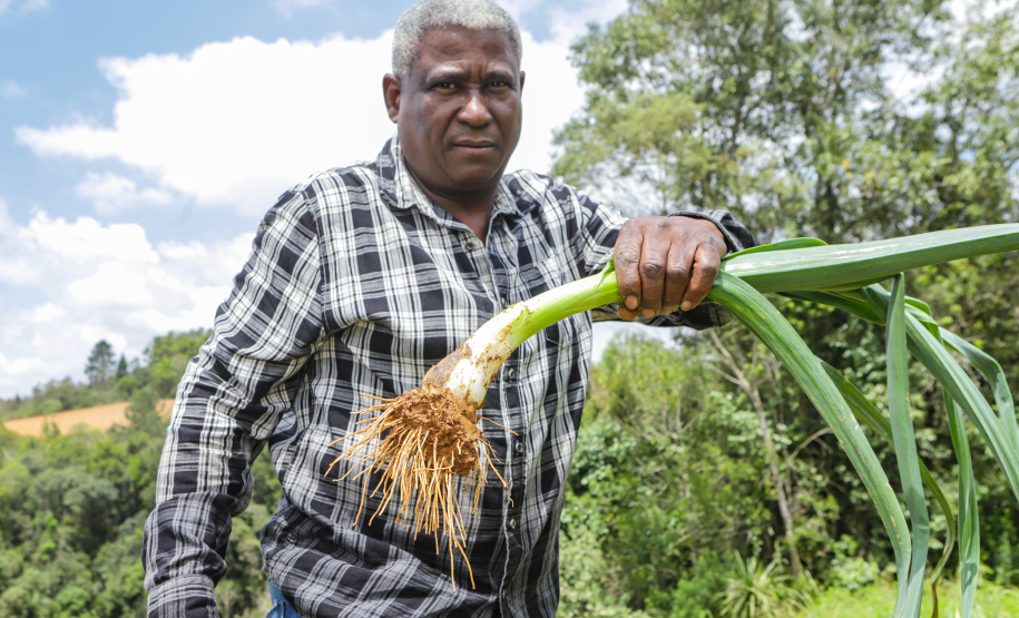 Líder nacional em produtores de orgânicos, Paraná investe para ampliar ainda mais o segmento -