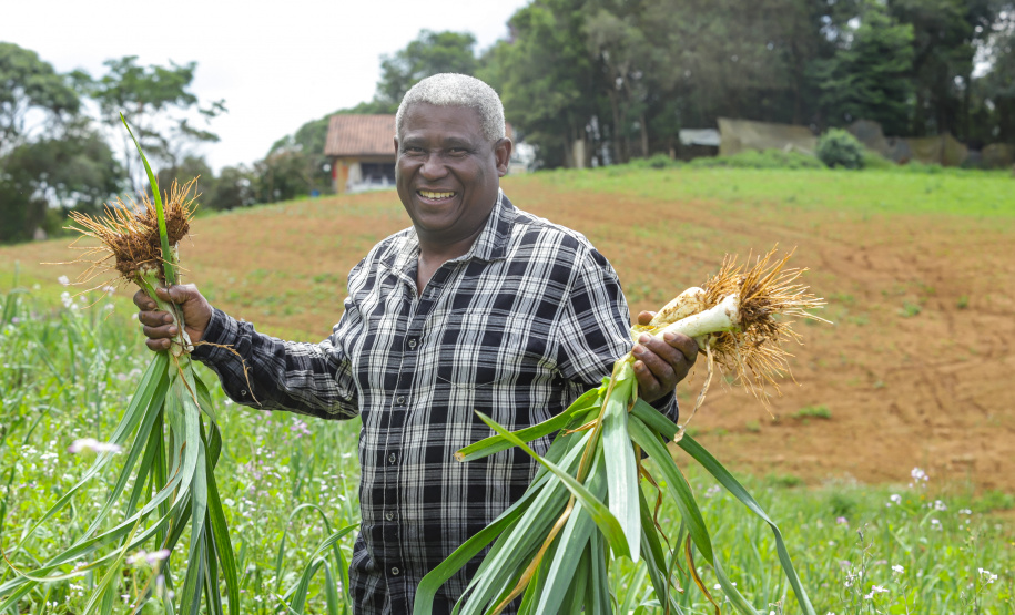 Líder nacional em produtores de orgânicos, Paraná investe para ampliar ainda mais o segmento -