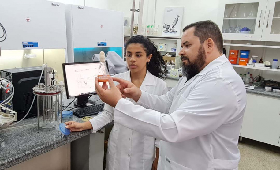 UEL conquista patente por invenção de biofungicida para controle de  doenças de plantas