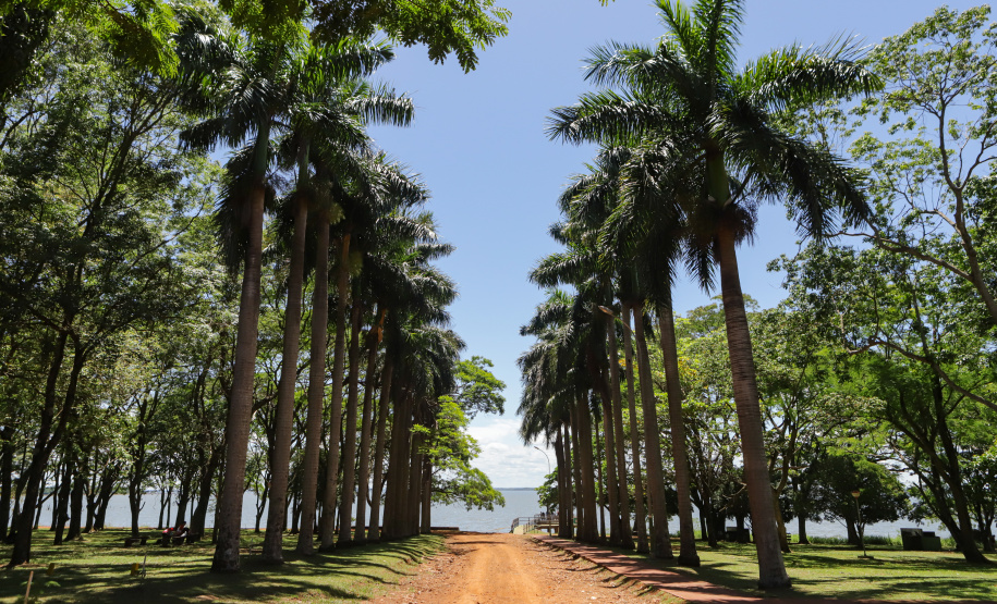 Com recuperação dos Caminhos do Peabiru, Estado vai aproveitar potencial da trilha histórica