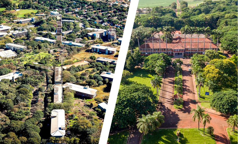 UEM e UENP conquistam Selo ODS Educação com boas práticas acadêmicas