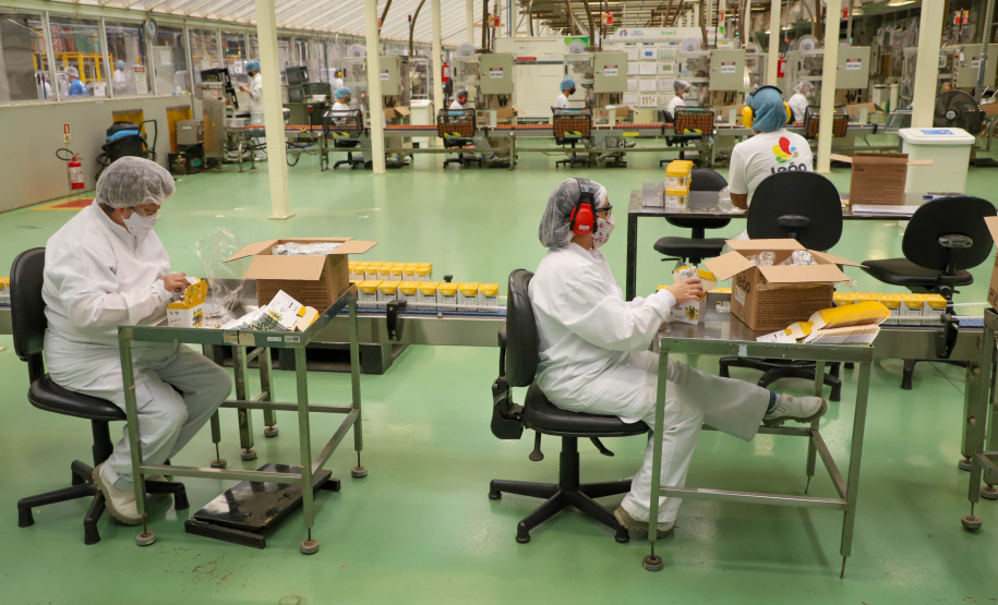 Com 4.832 vagas de emprego abertas em novembro, Paraná segue como o estado que mais emprega no Sul