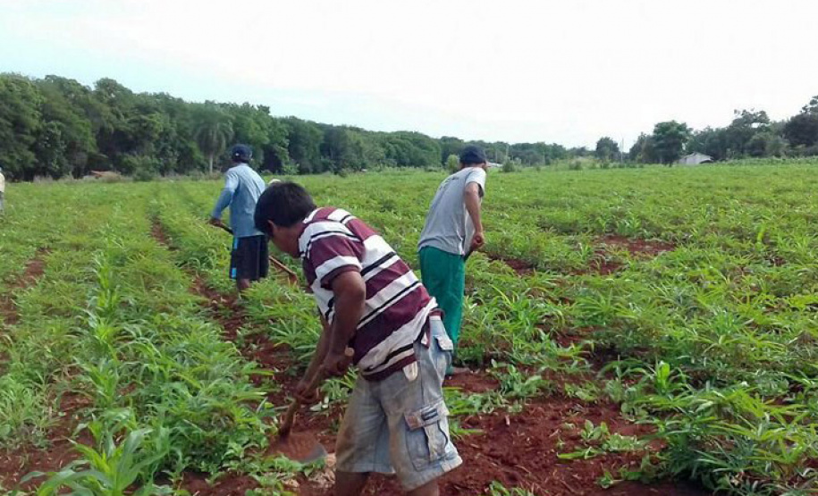 Em quatro anos, programas do Estado liberam mais de R$ 67 milhões para agricultores familiares