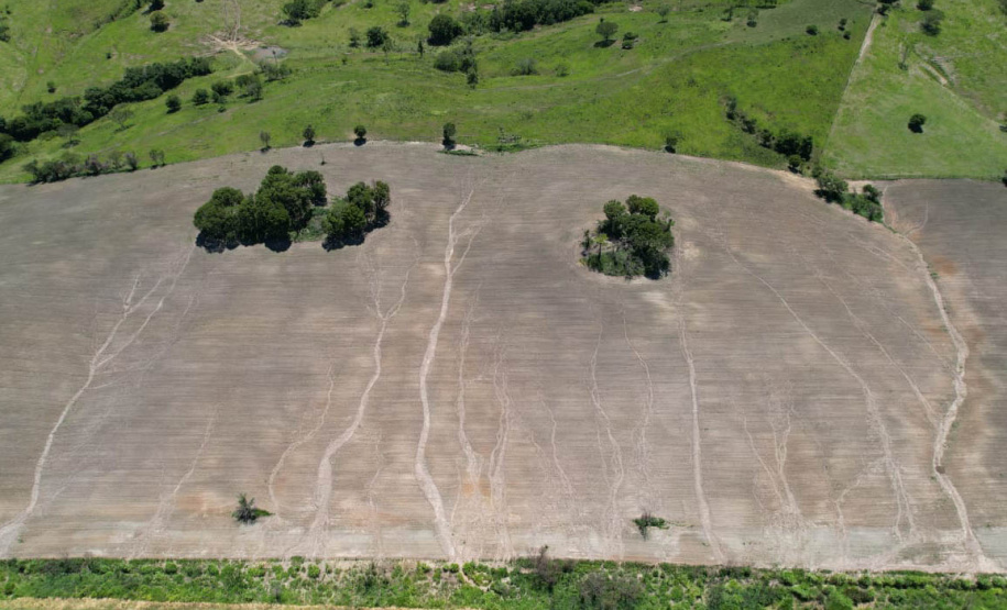 Com foco em inovação, defesa agropecuária do Paraná ganhou impulso nos últimos anos