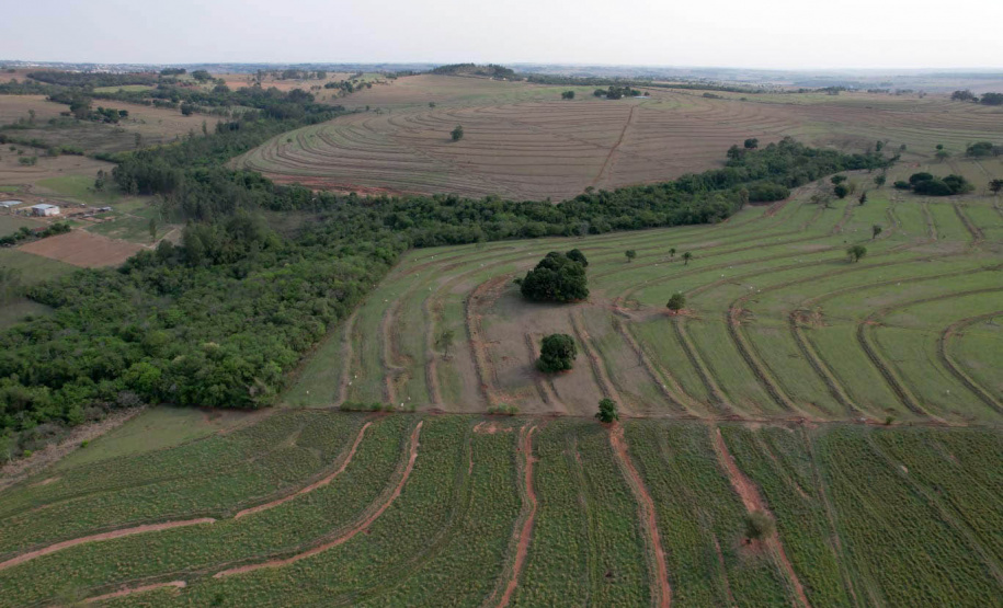 Com foco em inovação, defesa agropecuária do Paraná ganhou impulso nos últimos anos