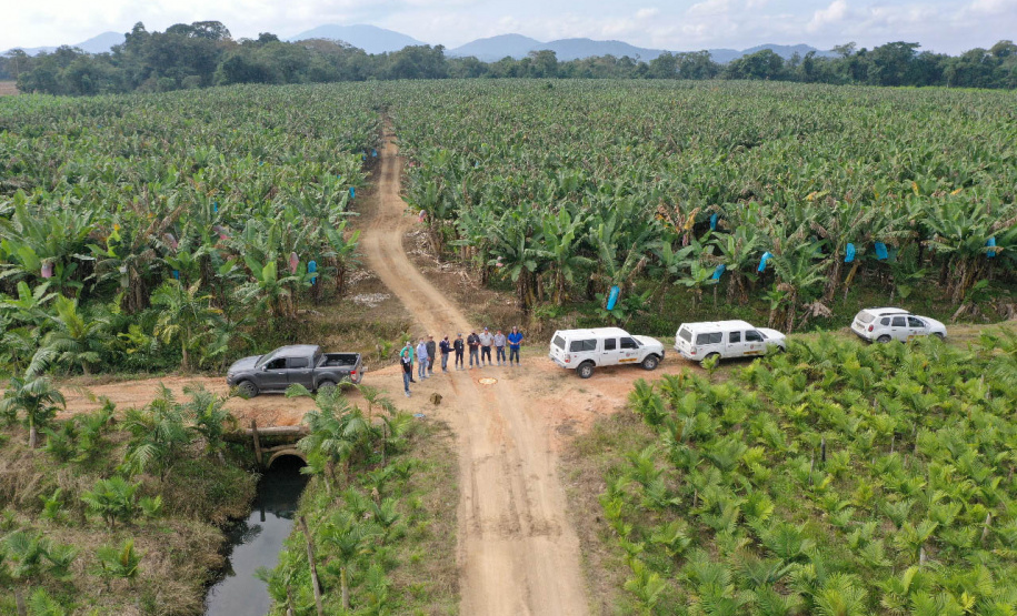 Com foco em inovação, defesa agropecuária do Paraná ganhou impulso nos últimos anos