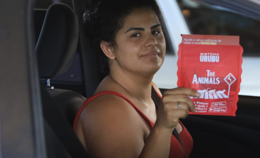 Paraná está na campanha nacional para prevenir atropelamentos de animais silvestres nas rodovias