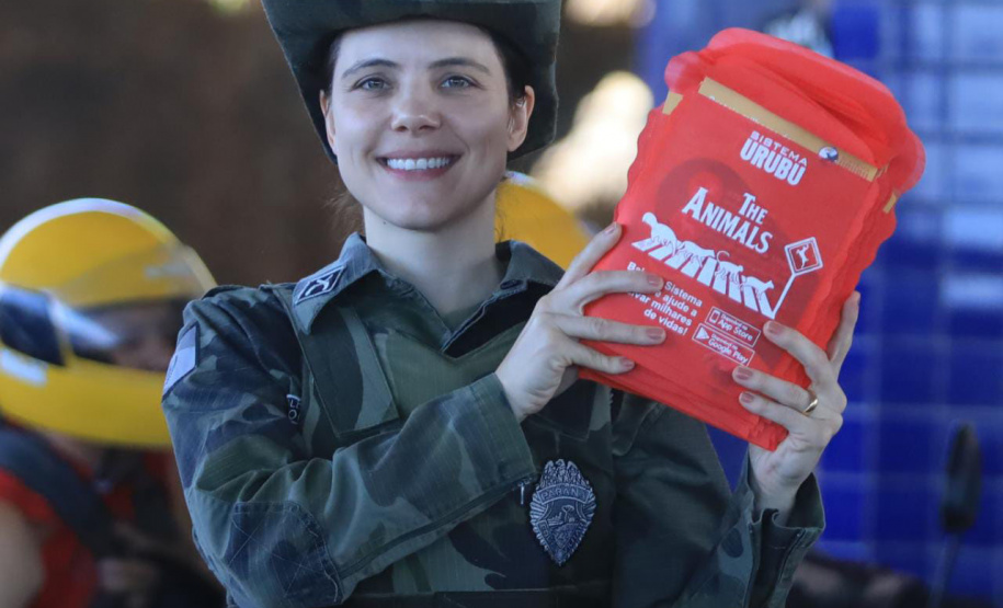 Paraná está na campanha nacional para prevenir atropelamentos de animais silvestres nas rodovias