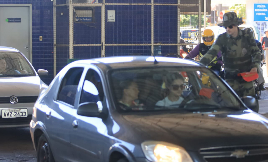 Paraná está na campanha nacional para prevenir atropelamentos de animais silvestres nas rodovias