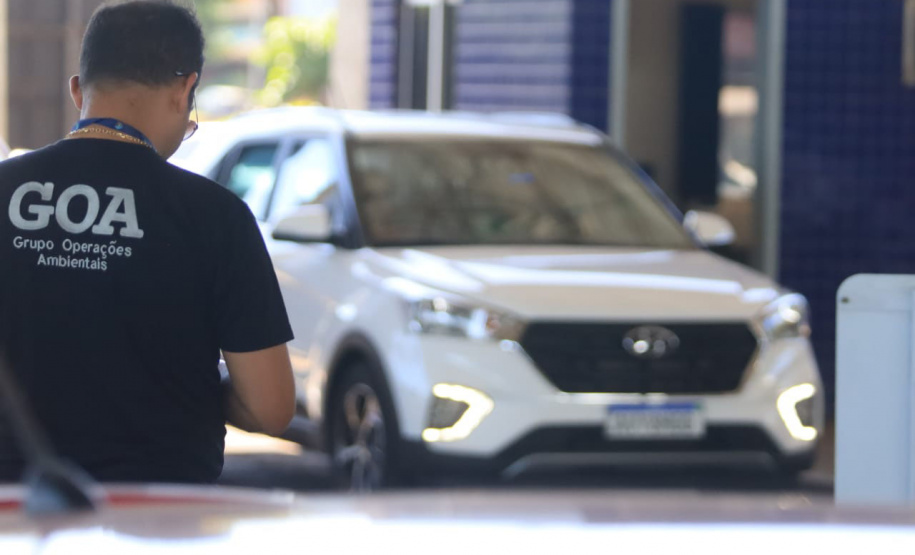 Paraná está na campanha nacional para prevenir atropelamentos de animais silvestres nas rodovias