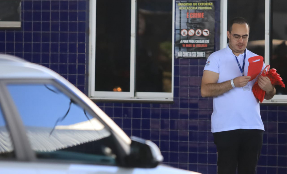 Paraná está na campanha nacional para prevenir atropelamentos de animais silvestres nas rodovias