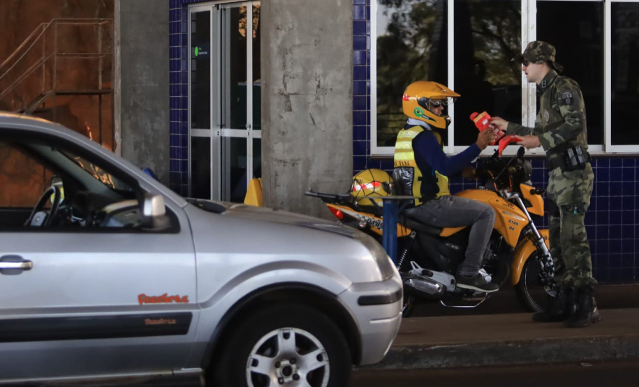 Paraná está na campanha nacional para prevenir atropelamentos de animais silvestres nas rodovias