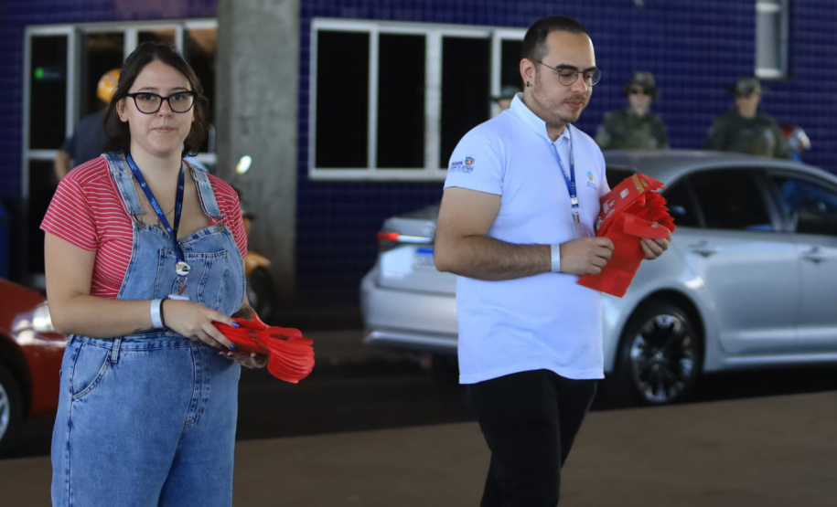 Paraná está na campanha nacional para prevenir atropelamentos de animais silvestres nas rodovias