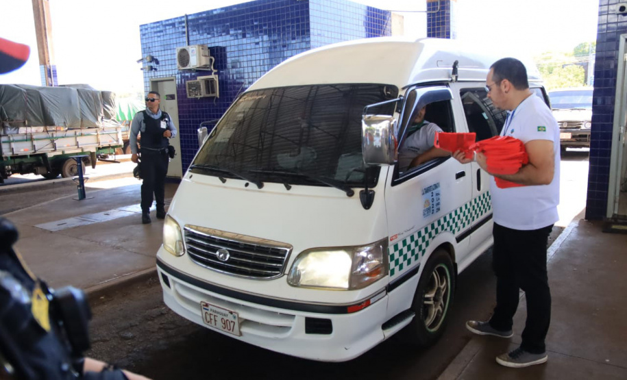 Paraná está na campanha nacional para prevenir atropelamentos de animais silvestres nas rodovias