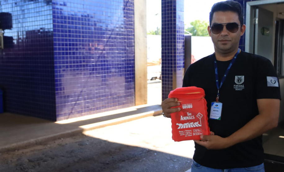 Paraná está na campanha nacional para prevenir atropelamentos de animais silvestres nas rodovias