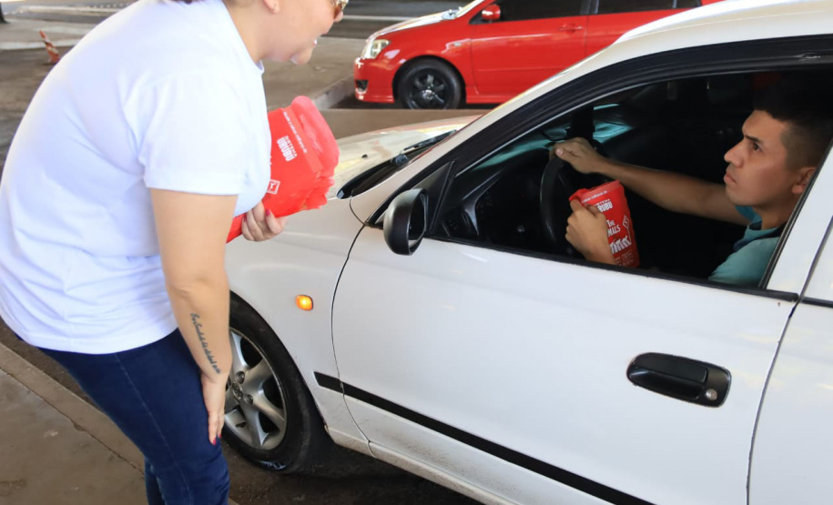 Paraná está na campanha nacional para prevenir atropelamentos de animais silvestres nas rodovias