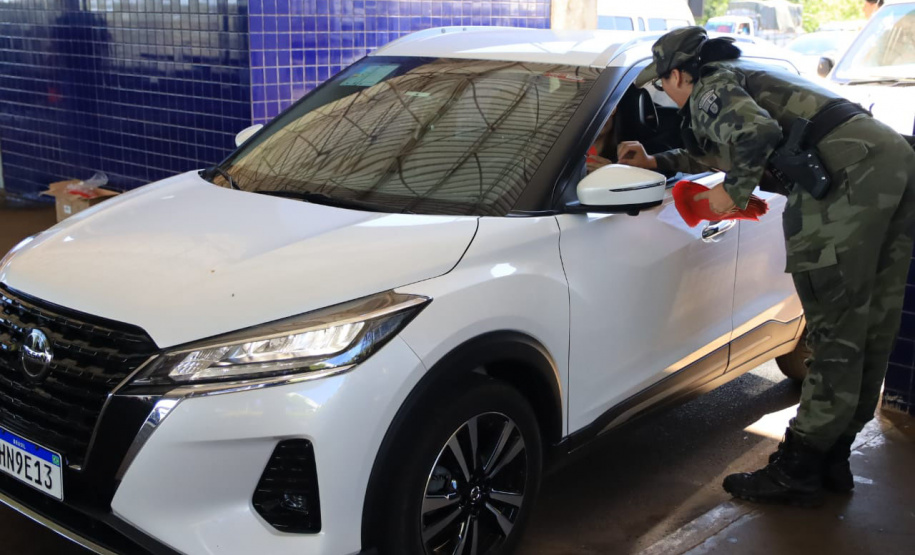 Paraná está na campanha nacional para prevenir atropelamentos de animais silvestres nas rodovias