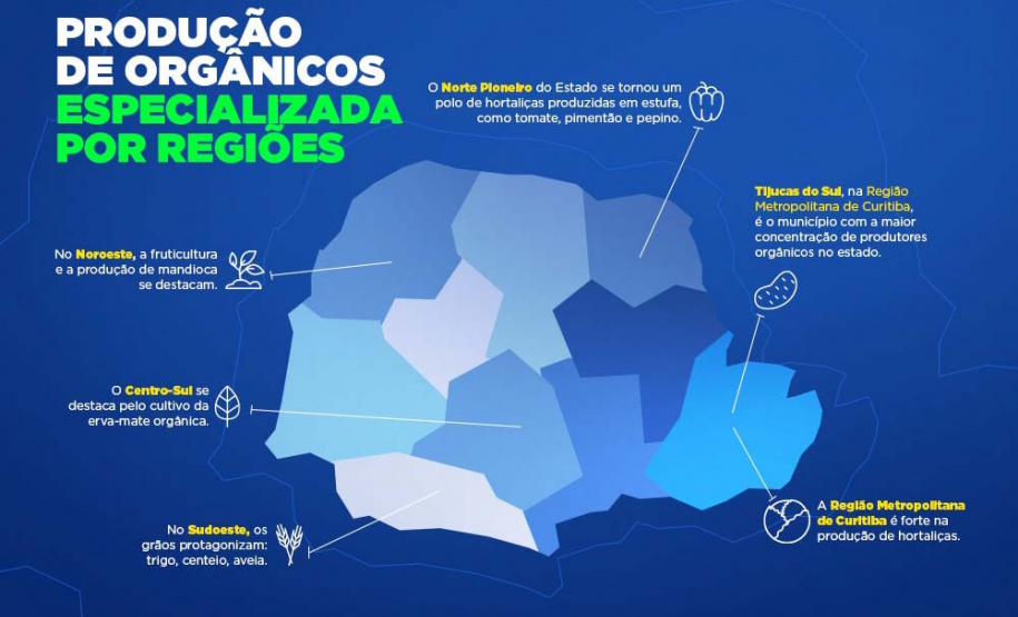 Líder nacional em produtores de orgânicos, Paraná investe para ampliar ainda mais o segmento