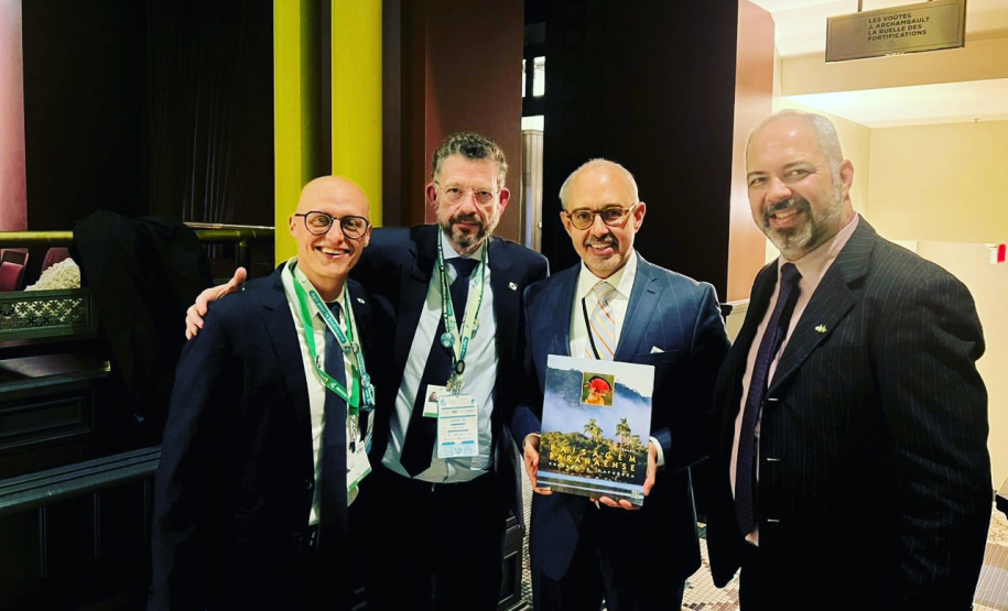 COP15: Paraná pode ser beneficiado com projetos para restauração da Mata Atlântica