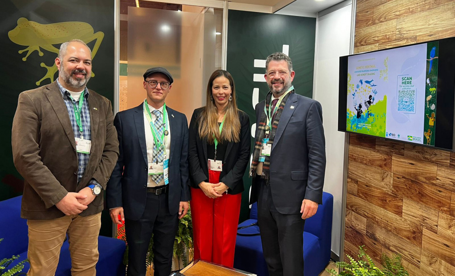 COP15: Paraná pode ser beneficiado com projetos para restauração da Mata Atlântica