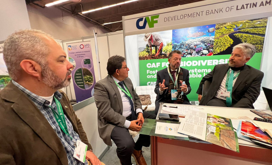 COP15: Paraná pode ser beneficiado com projetos para restauração da Mata Atlântica