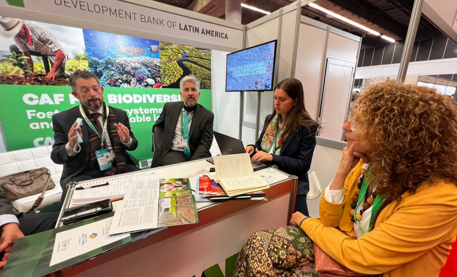 COP15: Paraná pode ser beneficiado com projetos para restauração da Mata Atlântica