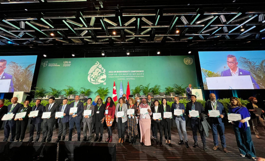 COP15: Paraná pode ser beneficiado com projetos para restauração da Mata Atlântica