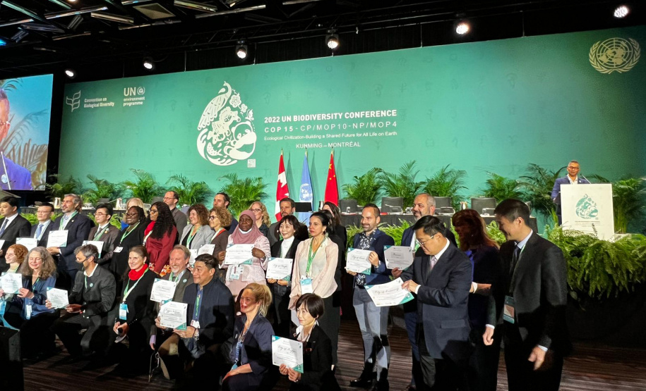 COP15: Paraná pode ser beneficiado com projetos para restauração da Mata Atlântica