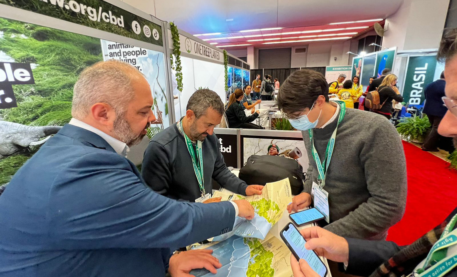 COP15: Paraná pode ser beneficiado com projetos para restauração da Mata Atlântica