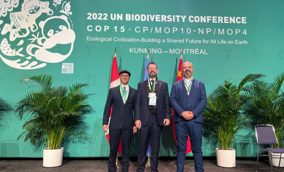 COP15: Paraná pode ser beneficiado com projetos para restauração da Mata Atlântica