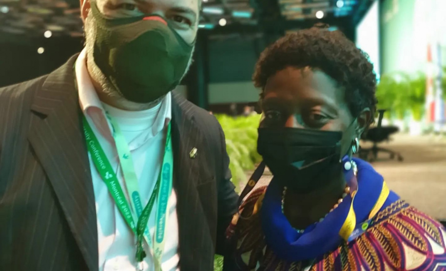 COP15: Paraná pode ser beneficiado com projetos para restauração da Mata Atlântica