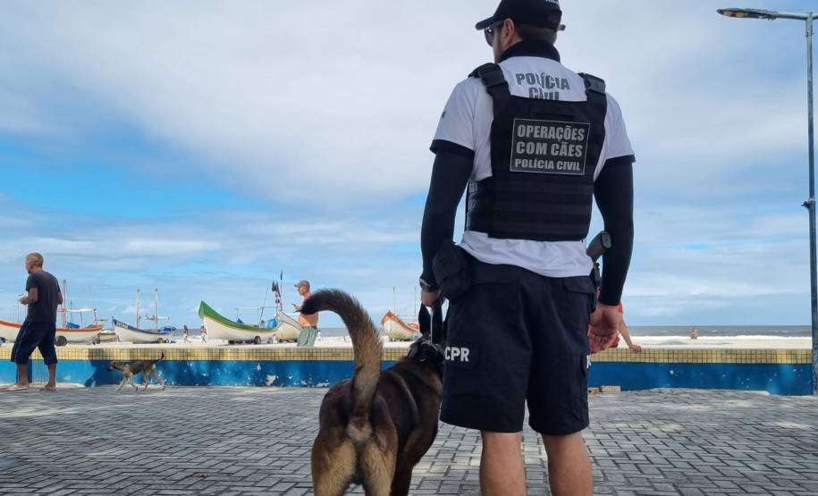 PCPR realiza fiscalização no Litoral com auxílio de cães policiais
