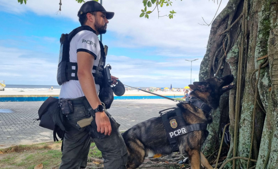 PCPR realiza fiscalização no Litoral com auxílio de cães policiais