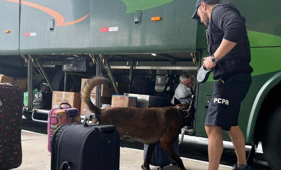 PCPR realiza fiscalização no Litoral com auxílio de cães policiais