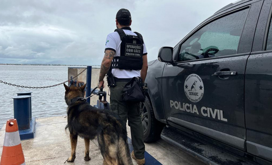 PCPR realiza fiscalização no Litoral com auxílio de cães policiais