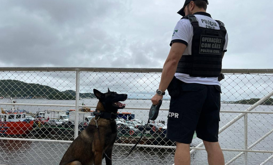 PCPR realiza fiscalização no Litoral com auxílio de cães policiais