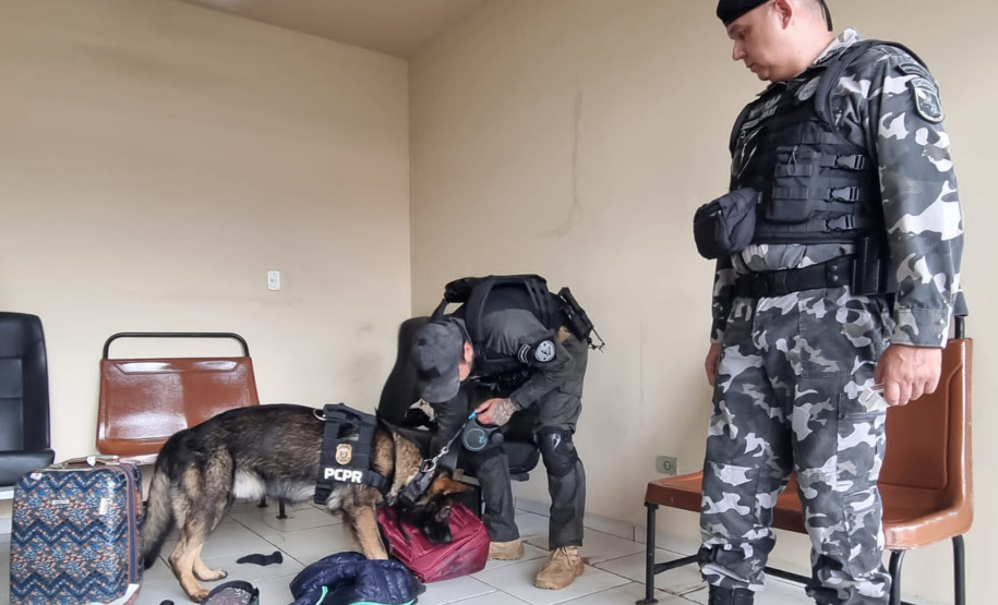 Operação da Sesp integra policiais militares e civis em ações contra o tráfico de drogas