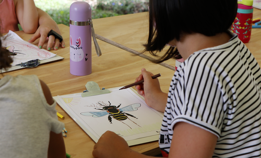 Programação de férias no MUPA