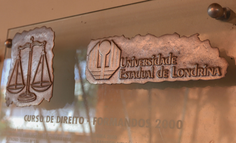 Estudo categoriza novos tipos familiares do ponto de vista jurídico